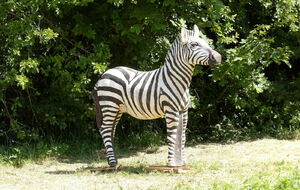 Journee Découverte Tirs Parcours